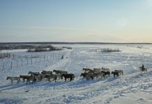 ALROSA partners with a major environmental project in Yakutia