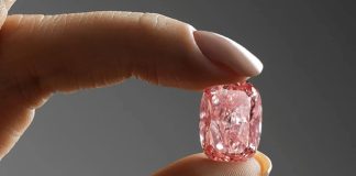 Williamson Pink Star Could Sell for $21m