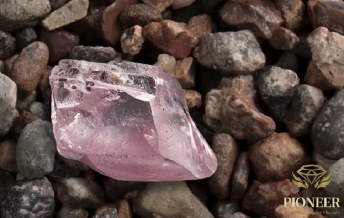 29.5-ct Protea Pink Alluvial Diamond to be Sold