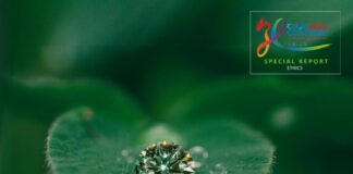 CIBJO Releases Report on Greenwashing in Jewellery Marketing