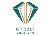 Grizzly Mining Ltd