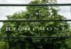 Richemont Reports Record Sales as Jewelry Demand Soars